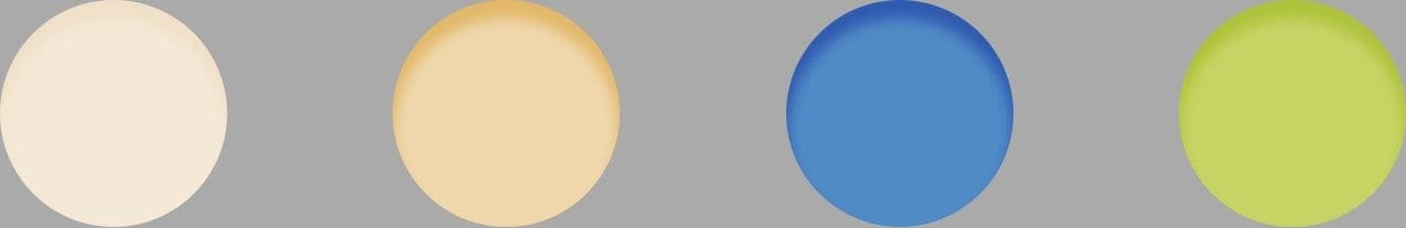 Silly Goose Color Palette 2