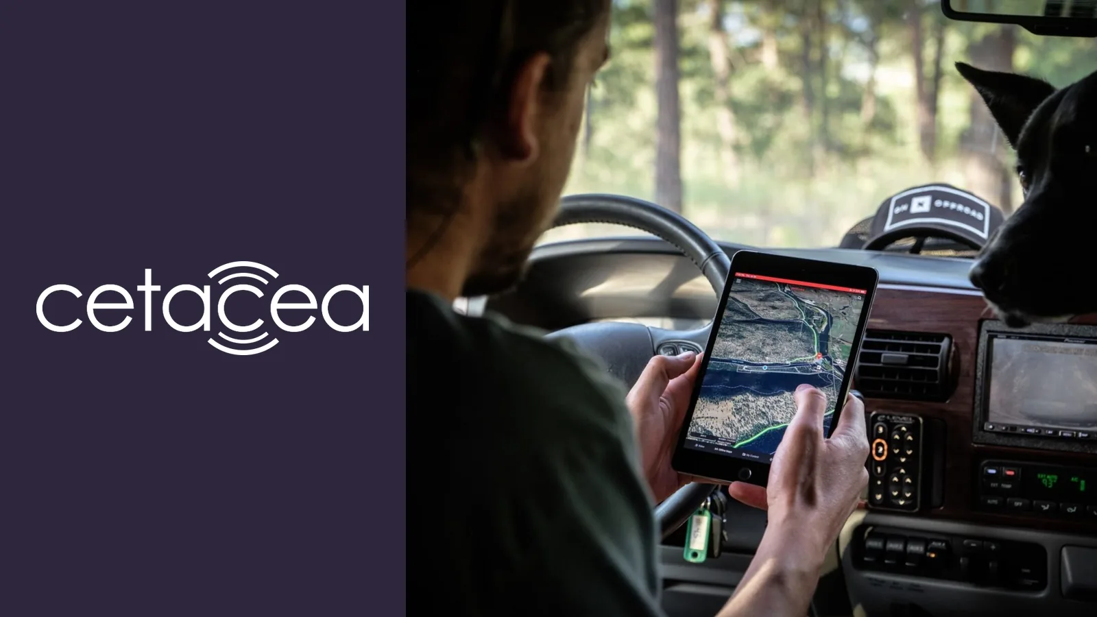 Cetacea brand and project imagery