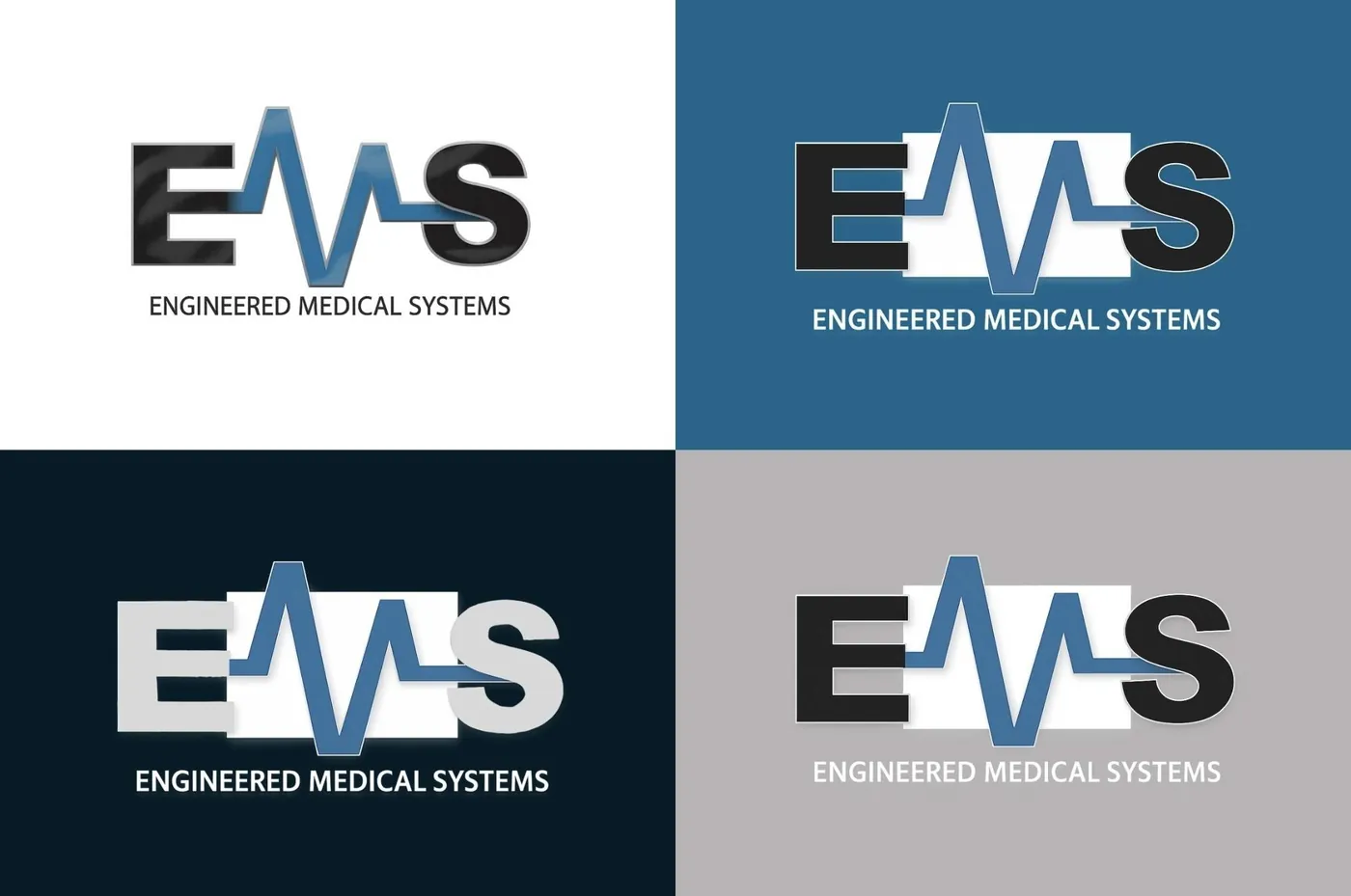 EMS logo on four brand colors
