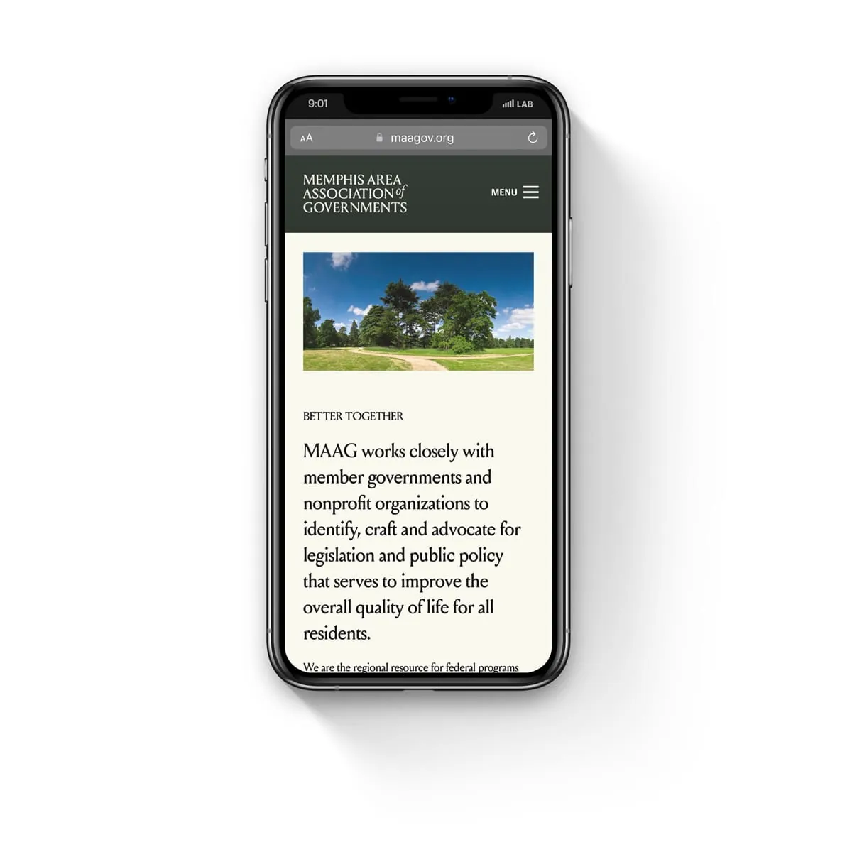 Homepage on a phone